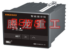 溫度表、數(shù)字顯示儀、濕度表