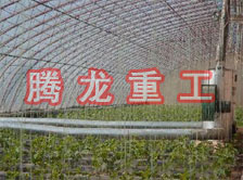 大棚花卉供暖設(shè)備、大棚卉采暖設(shè)備、大棚花卉取暖設(shè)備