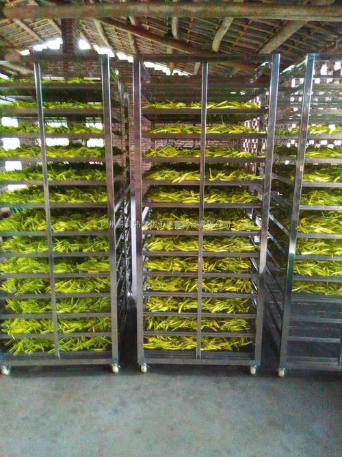 黃花菜烘干機(jī)、黃花菜烘干設(shè)備、黃花菜干燥機(jī)、黃花菜干燥設(shè)備、